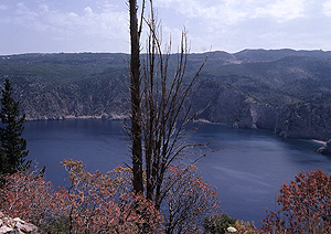 LEICA R8, ELMARIT-R 2,8/90